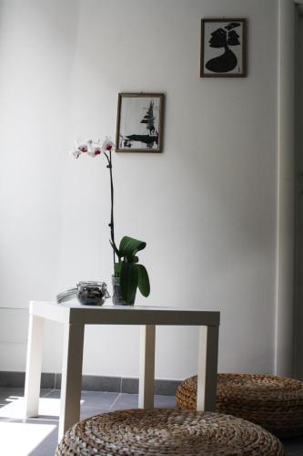 Bed & Breakfast Salotto Piramide Roma